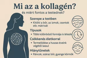 Mi az a kollagén – Ezért nélkülözhetetlen a testednek